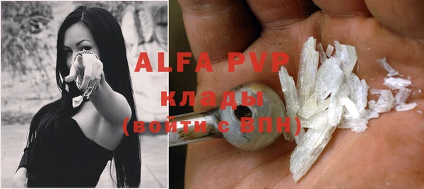 сатива Белокуриха