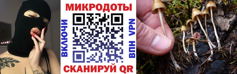 Галлюциногенные грибы MAGIC MUSHROOMS  Заринск 